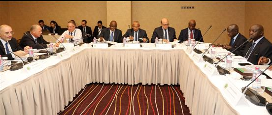 Can 2019 : Voici Les Décisions Du Comité Exécutif De La Caf Concernant Le Retrait De La Compétition Au Cameroun