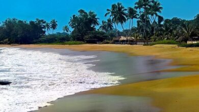 Photo de Tourisme : Voici quelques plages « bio » du Cameroun à découvrir