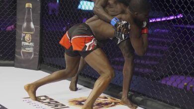 Photo de Kola sucré : De la comédie au MMA